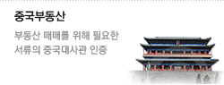 중국부동산